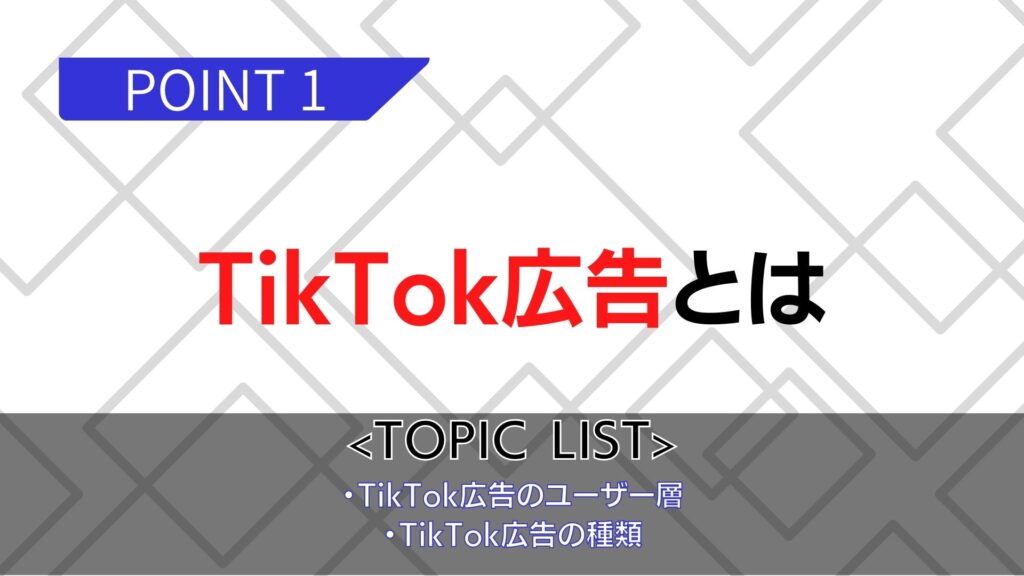 TikTok広告とは